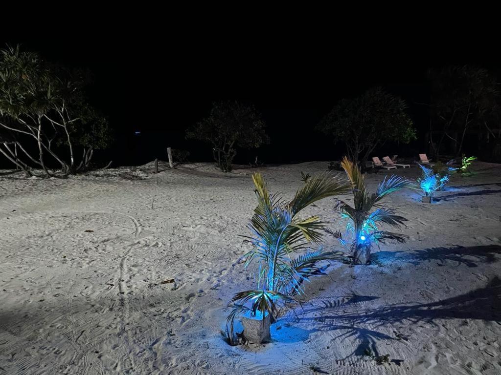 Jambo Beach Hotel Paje Exterior photo